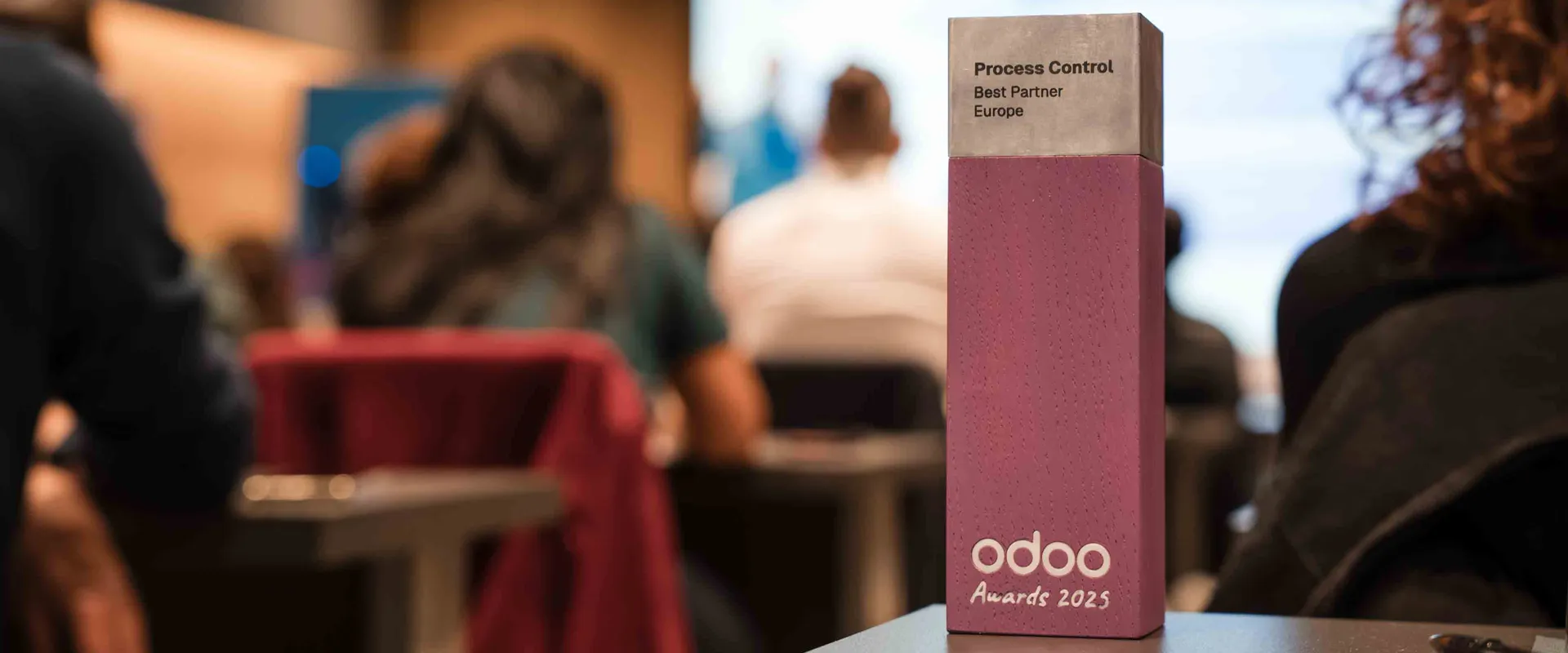 Process Control | Odoo Gold Partner | Best Partner Europe 2025